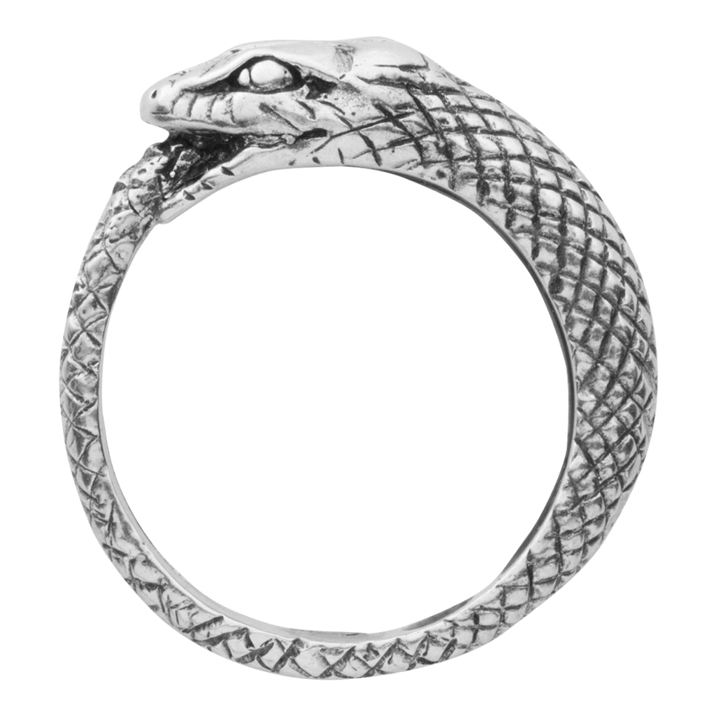 The snake biting it's own tail symbolizes eternity; a never ending wholeness and love that can never be broken. This eternity snake ring comes in 18K gold plate, silver and 14K gold
